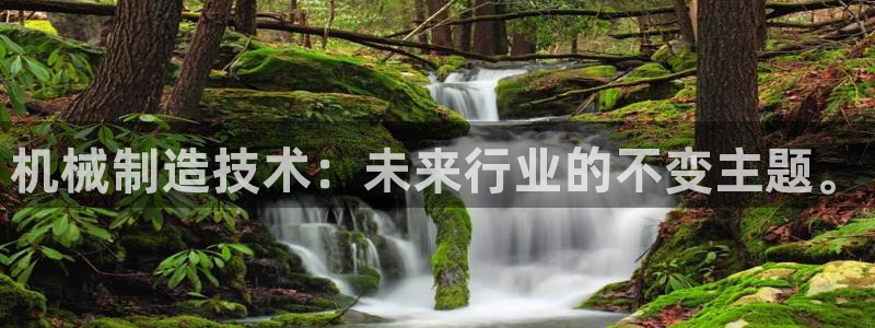 摩根娱乐宝创始人