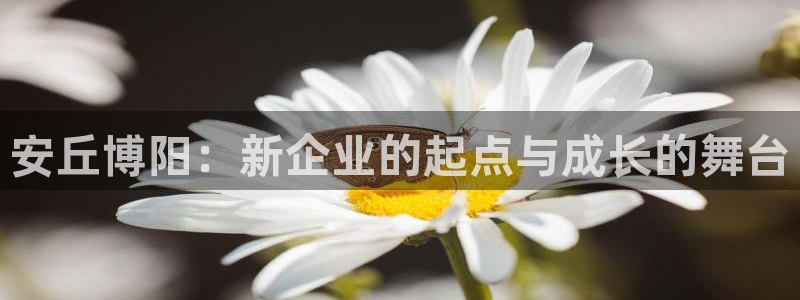 摩根娱乐宝可靠不