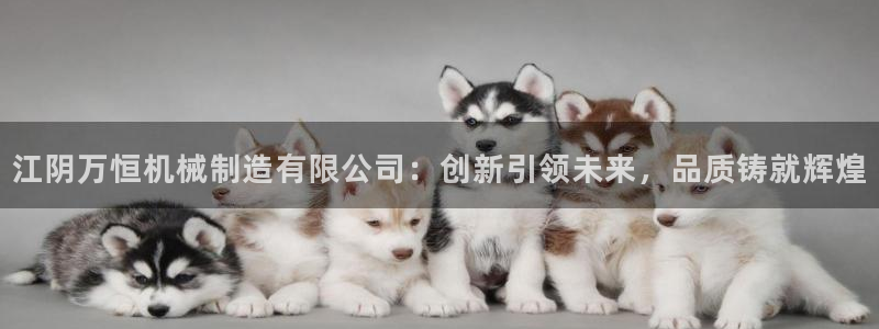 福建泉州白宫摩根会娱乐
