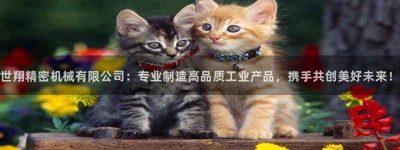 摩根娱乐宝微信客服