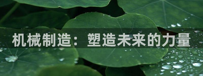 摩根100娱乐会所