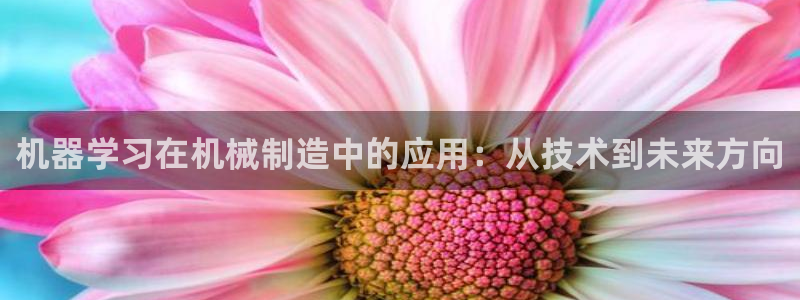 主角是摩根家族的娱乐文
