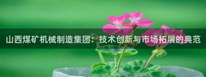 摩根国际娱乐宝