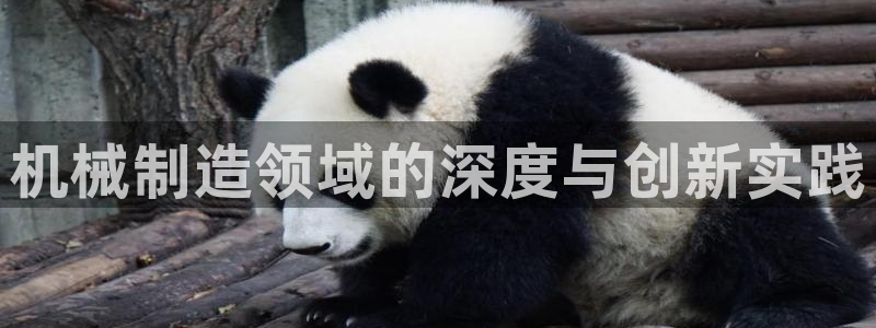 白宫摩根娱乐场所