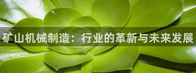 摩根娱乐电玩