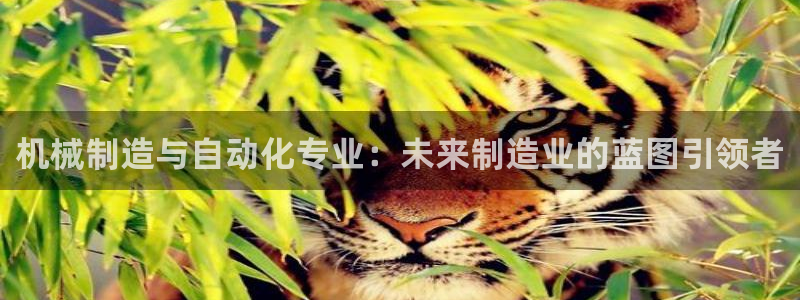 摩根 娱乐宝诈骗