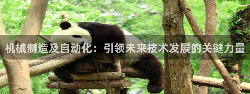 娱乐解说摩根王者荣耀
