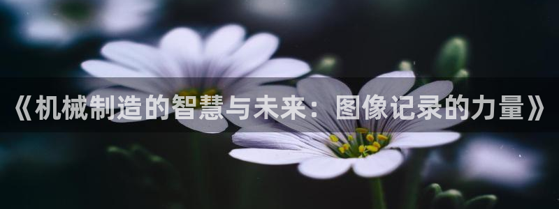 摩根娱乐文化有限公司