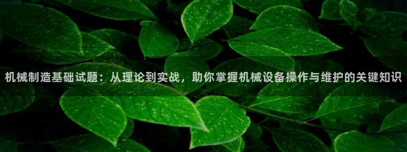 摩根娱乐宝-