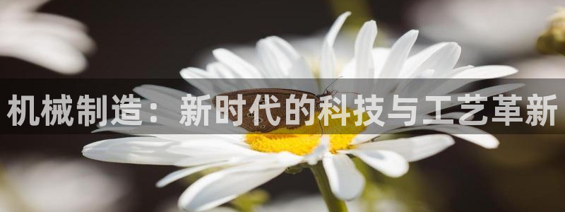 摩根士丹利娱乐银行