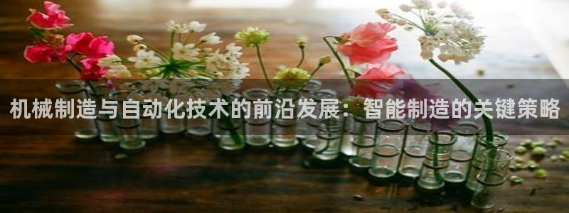 摩根娱乐50186找