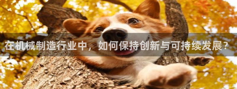 摩根娱乐官网