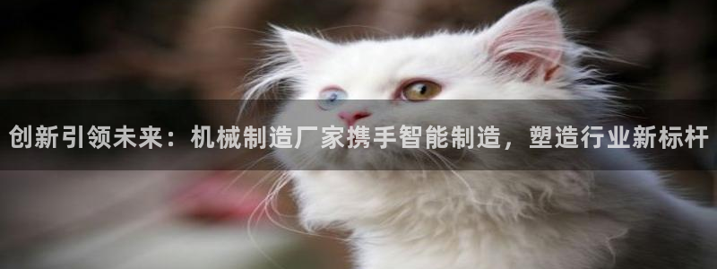 福建泉州白宫摩根会娱乐