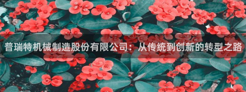 下载摩根国际娱乐宝