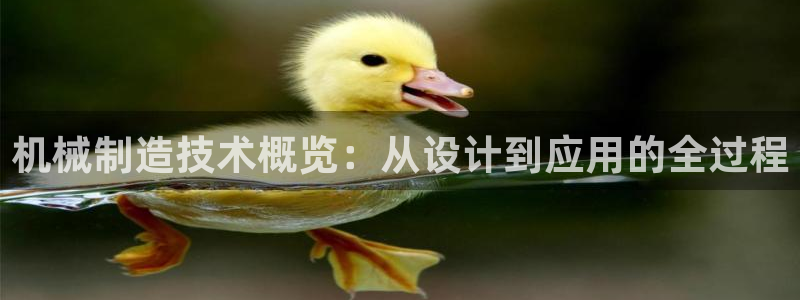 摩根娱乐 1老j板50820