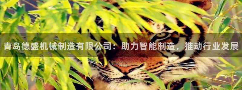 泉州摩根娱乐会所电话多少