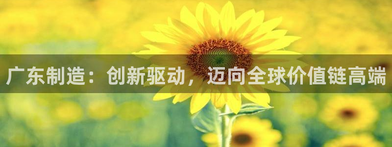 义乌摩根娱乐阿峰
