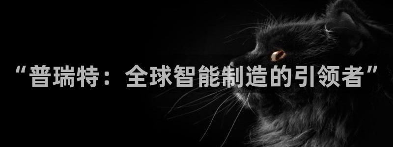 摩根娱乐 c招a商77130