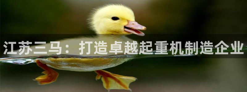 摩根国际 亚太 娱乐宝