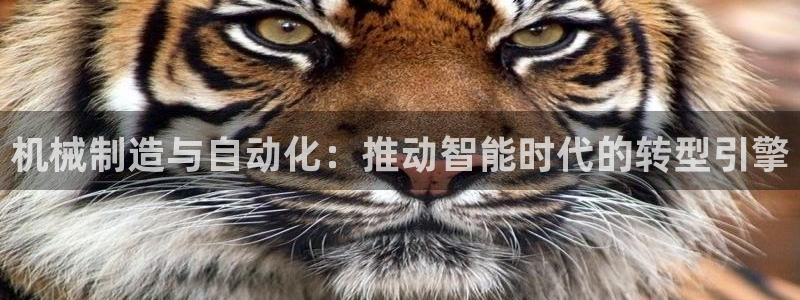 摩根娱乐总部在哪里