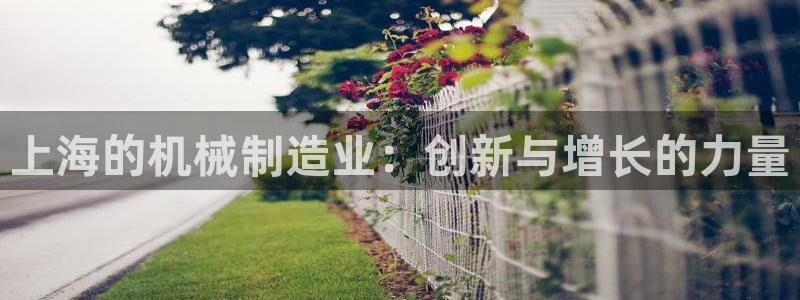 摩根室内娱乐