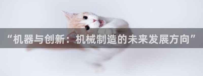 泉州摩根娱乐会所地址