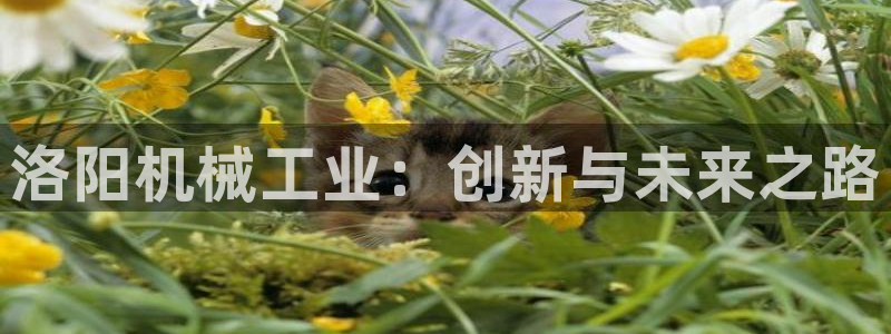 临平摩根国际娱乐会所