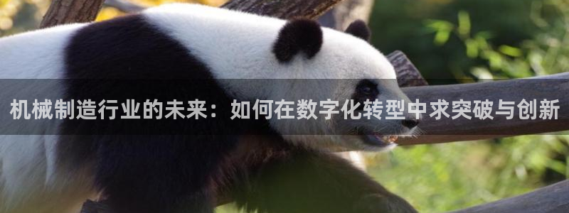 摩根大通黄金娱乐