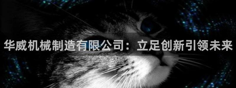 摩根娱乐宝怎么赚钱的