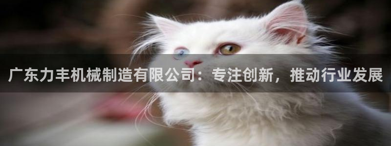 摩根娱乐宝骗了多少人