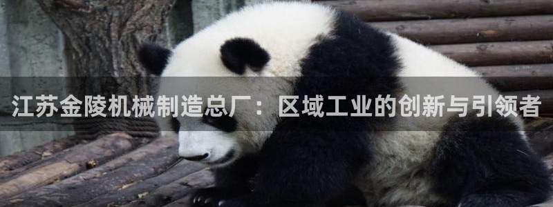摩根娱乐宝使用操作