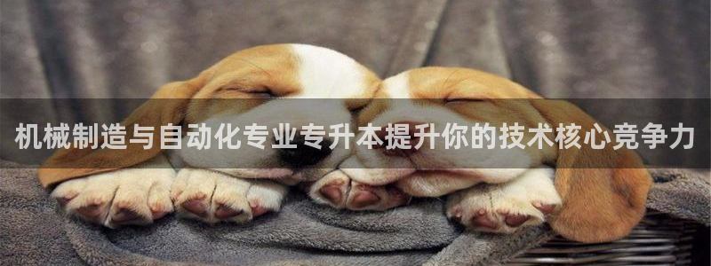 摩根娱乐宝怎么玩