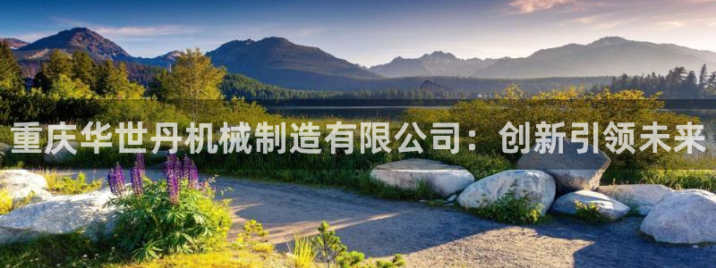 摩根娱乐注册账号