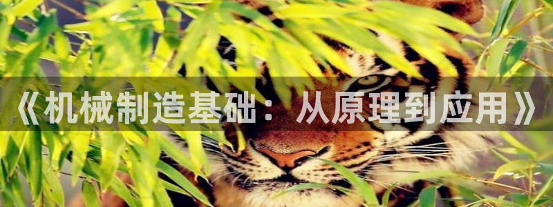 摩根娱乐宝合法吗