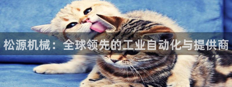 华视娱乐摩根王琛