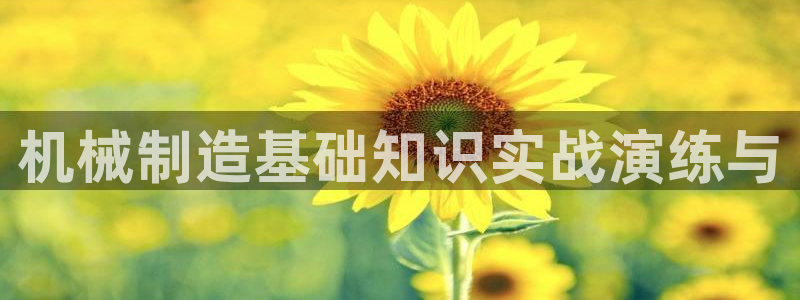 摩根娱乐部