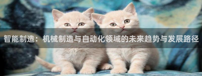 摩根娱乐宝官网下载