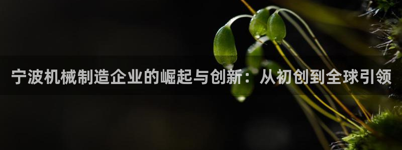 摩根娱乐宝真的假的