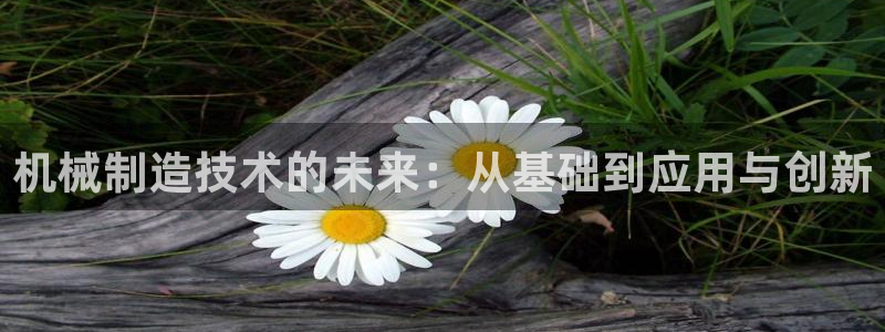 摩根大通王者娱乐