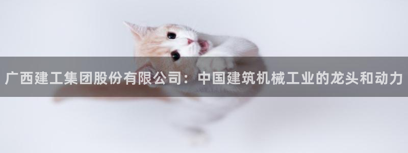 摩根娱乐宝怎么盈利