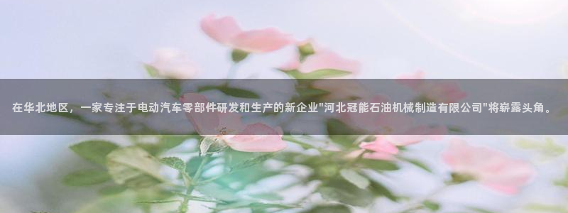 摩根娱乐宝k线图