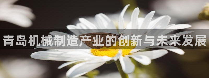 摩根娱乐宝APP下载