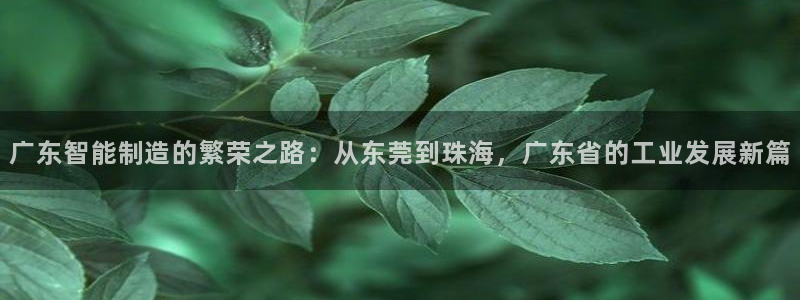摩根娱乐包是什么