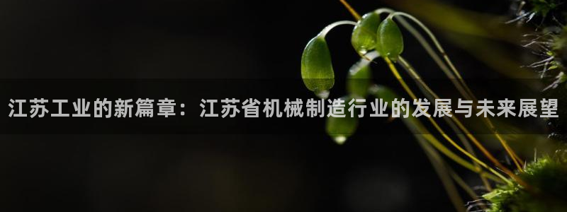 义乌摩根娱乐会所图片