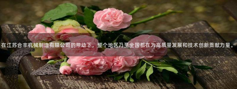 摩根国际娱乐宝官网