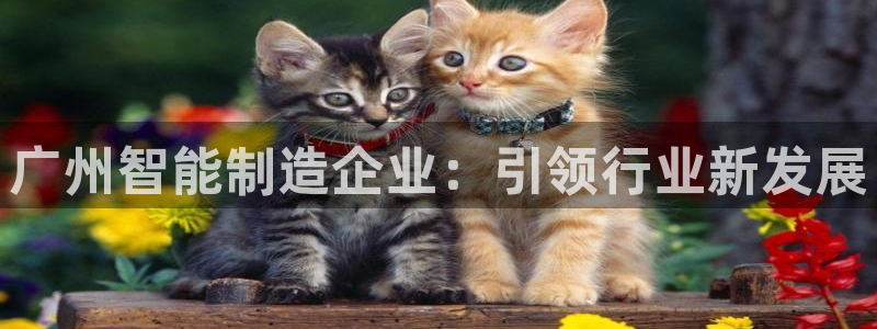 摩根娱乐宝微交易