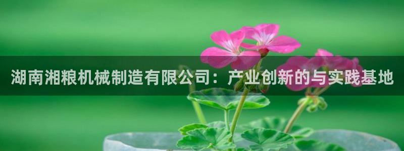 摩根娱乐宝-
