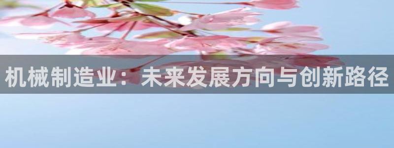 摩根娱乐骗局