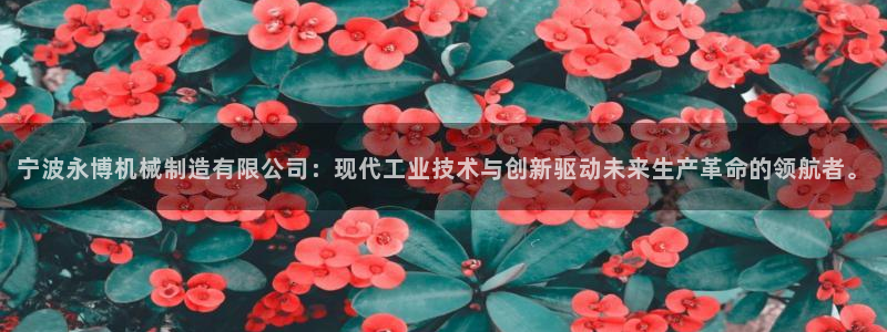 摩根娱乐垫付任务靠谱吗
