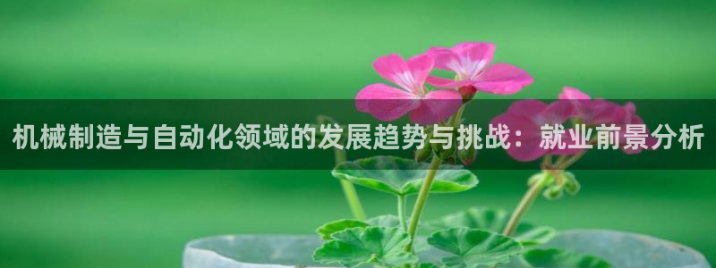 厦门摩根会娱乐